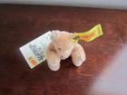Miniature Richard Steiff Mohair Teddy Bear With Button And Tag