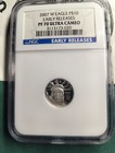 2007-w  1 10 Oz Platinum Eagle  10  Ngc Pf 70 Ultra Cameo Early Releases 