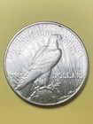 1927 S Peace Dollar Bu  Free Shipping From Chelsea