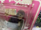 Vintage 1973 Mego Planet Of The Apes Cornelius   Zira Set Nrfb Mib Mip Moc