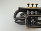 Trumpet Carol Brass Cpt-3000-gls-bb-bg Blackhawk Pocket Trumpet With Case