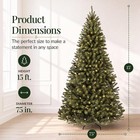 9ft Pre-lit Christmas Tree With 850 Warm White Lights  Green 2160 Branch Tips 