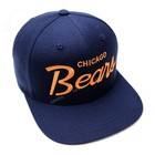 Retro Chicago Bears Snapback Hat 90s Christmas Vacation Clark Griswold Cap  box 