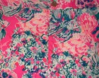 Nwot Women   s Lilly Pulitzer Lorelie Skort Tiki Pink Gypsea Size 12