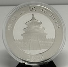 2025 China 30 Gram Silver Panda