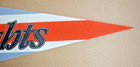 Vintage Charlotte Knights Full Size Felt Baseball Pennant