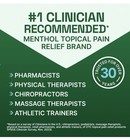Biofreeze Large Menthol Pain Relieving Patches 15 Pack 5 5 X 3 94 In