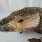 Fao Schwarz Plush Iguana Crocodile Alligator Lizard Chameleon Dino 18  Brown 
