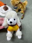 American Girl Doll Julie Dog Walking Set 3 Dogs Poodle Terrier Chihuahua