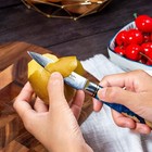 Classic Paring Knife 3 5 Inch  Damascus Steel Japanese Knife - Sharp Fruit Knife