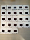 Vtg 1979 Dracula Frank Langella 35mm Film Cell Slide 23 Lot Trailer Pete Cushing