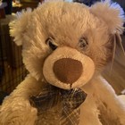 First And Main  1895 Regis Cuddly Soft 14    Tan Bear  With Tag Vintage Needs Love