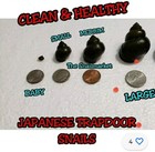 45 5 Japanes Trapdoor Snails  Small babies   Clean   Healthy Fedex   Ups 2 Day  