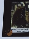 Antique Glass Slide Magic Lantern Feeding The Ponies
