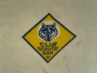 Vintage 1960s Official Cub Scouts Bsa  T-shirt Light Yellow Youth Size 12 W tag