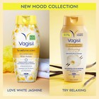 Vagisil Feminine Wash For Intimate Area Hygiene  Gynecologist Tested  3 Scent   