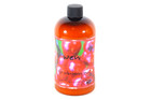 Wen By Chaz Dean Winter Cranberry Mint Cleansing Conditioner 16oz