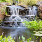 Blue Thumb Serenity Skimmer Box With Natural Lid