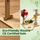 Science Experiment Kit Wooden Learning Toy Stem Education Kids Age 6  Gift