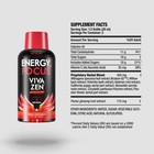 Viva Zen Energy Focus Herbal Supplement Drink 1 9 Fl Oz W  Vitamin C  Ginseng