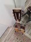 Telestar Parlor Guitar 80x Modified  