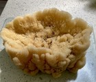 Large Natural Sea Sponge Vase Ocean Marine