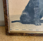 Vtg Or Antique Spaniel Puppy By Bucket Photograph In Metal Frame 8 x10  Moody
