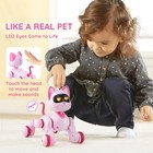 Rc Robot Cat Toy For Kid Talking Dancing Touch Remote Control Programmable