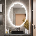 Oval Led Bathroom Mirror Frontlit   Backlit Antifog Dimmable Wall Vanity Mirror