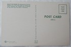 Vtg 1970s Postcard Unposted Cypress Gardens Fl Beauty On Parade Water Ski Babes
