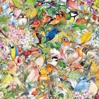 25pcs Random Cute Clear Transparent Pet Colorful Bird Flower Waterproof Stickers