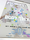 Robyn Body Talk 2010 Poster 22x14  cd Cover Picture 