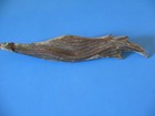 Antique Copper Weathervane Horse Tail Verdigris Gold Leaf