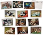 Antique Cat Postcards - 24 Vintage Postcards - 12 Assorted Kitten Retro Book Ill