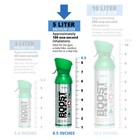 Boost Oxygen Natural Portable 5 Liter Pure Oxygen Variety Canister  4 Pack 