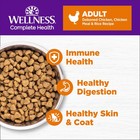 Complete Health Adult Dry Cat Food For Indoor And Outdoor Cats  Wholesome Gra   