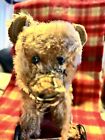 Antique Cabinet  Doll Sz Steiff   1905 Teddy  Bear On Wheels Mohair  Button Eyes
