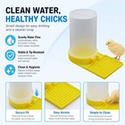 Water Feeder For Baby Bird Button Quail Small Pet Bird Cage Drinker Yellow