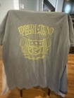Pearl Jam 2025 Dark Matter Tour T-shirt Vintage Look Gray