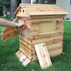 7 Pcs Auto Shedding Honey Hive Beehive Frames beekeeping Brood Cedarwood Box Us
