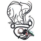 Ls1 4l60e Stand Alone Harness Fit Ls Swap 4 8 5 3 6 0 03-07 Drive By Wire Dbw