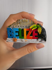 Maya Ruins Belize Souvenir  Fridge Magnet