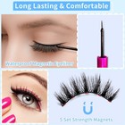 Magnetic Eyelashes Kit  Long Lasting And Reusable Magnetic Lashes Natural Look 
