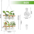 Wall Hanging Plant Propagtion Station Wooden Stand 6 Bulb Glass Vase Decor Home