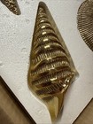Vintage Solid Brass Sea Shells 4-5 Inch Wall Hanging Decor Set Of 4  772-3711