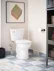 Moen Eb500-r 2-series Standard Non-electronic Bidet Seat For Round Toilets    