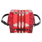 Portable Concertina Accordion Concertina Instrument With Carrying Bag For Adults