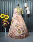 Party Wear Lengha Indian New Pakistani Wedding Bollywood Designer Lehenga Choli
