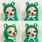Medium Green Warm Dog Winter Clothes Cute Fruit Dog Coat Hoodie For Pet