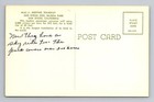 San Diego Ca-california  Moving Stairway  Zoo  Antique Souvenir Vintage Postcard